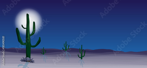wild desert scene with cactus