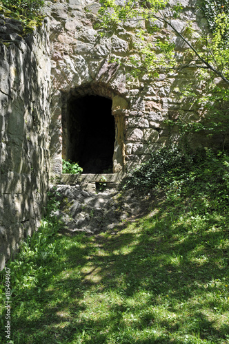 Fototapeta Naklejka Na Ścianę i Meble -  burgruine falkenstein am donnersberg