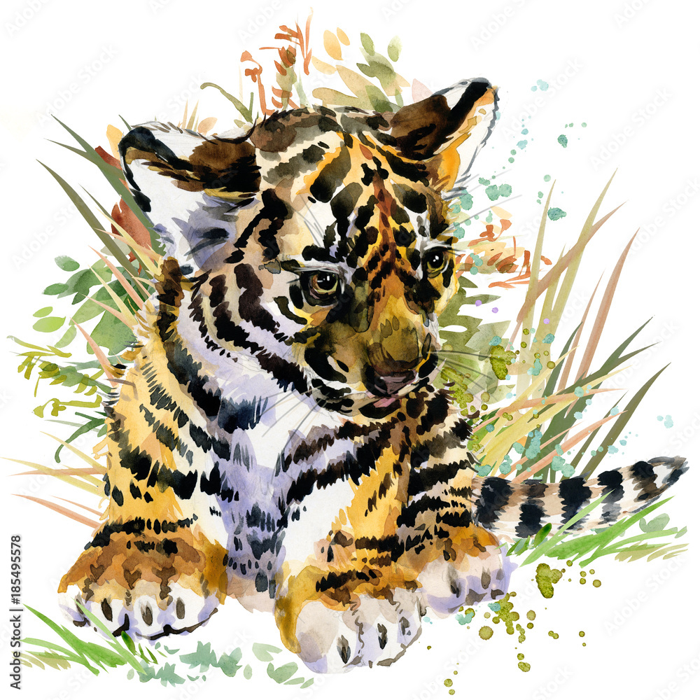 Obraz tygrysiątko. ilustracja akwarela zwierzęta leśne