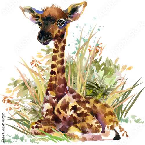 giraffe cub. wild animals watercolor illustration