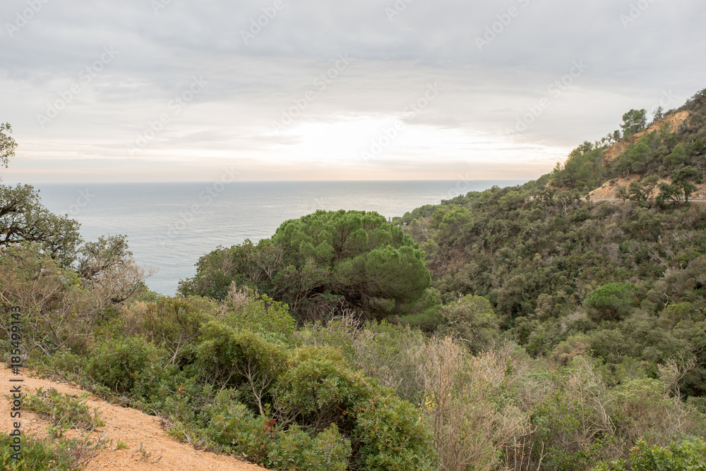 The wild coast in the province of Girona