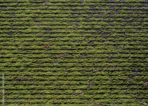 English Mossy Roof Textures