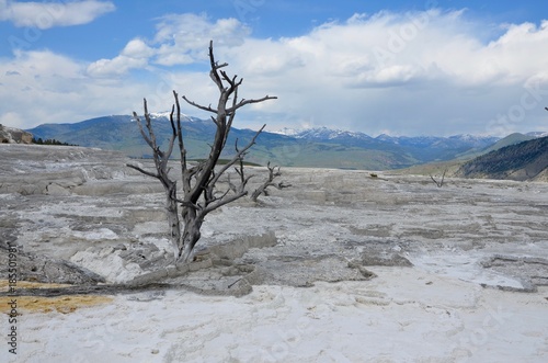 Yellowstone Nationalpark