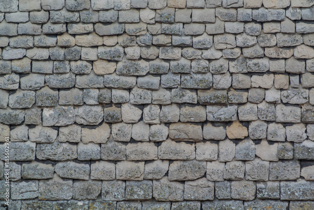 Fototapeta premium English Roof Tile Textures