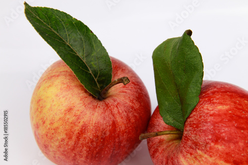 Delicious Red Apples on White Background photo