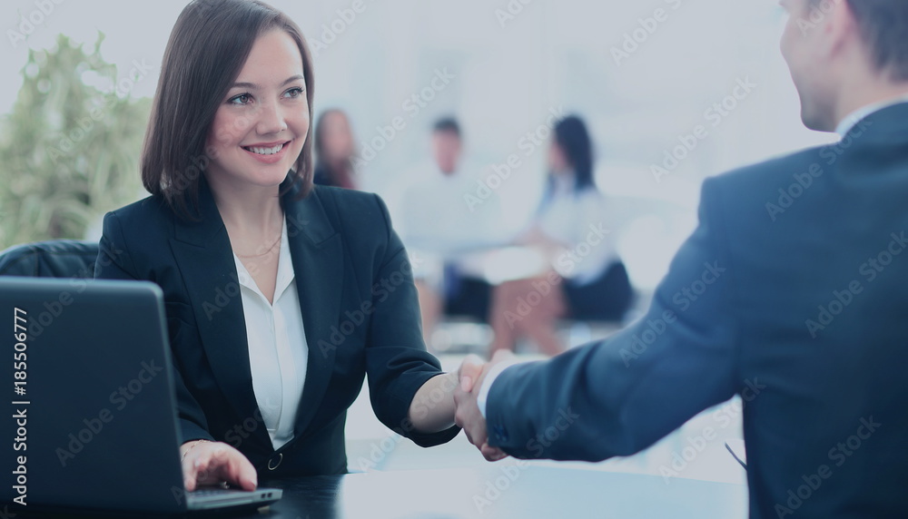 Two professional business people shaking hands Two professional business people shaking hands