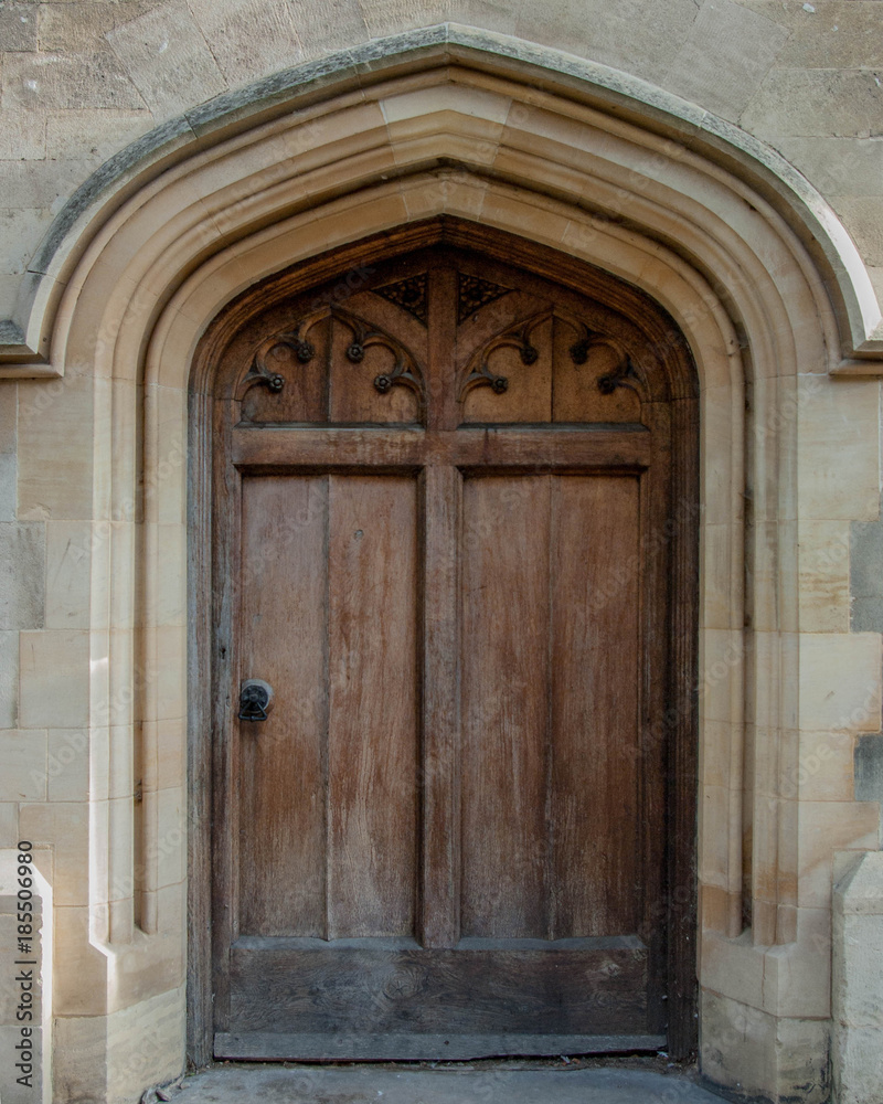 Brown Doors for 3D Texture