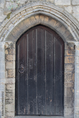 Brown Door for 3D Texture