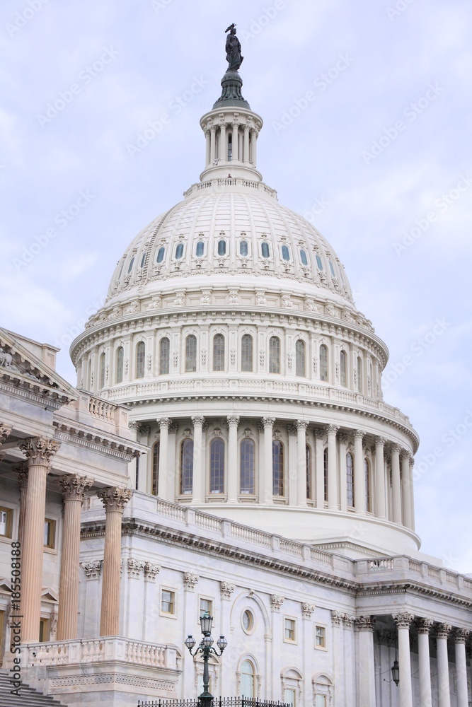 Fototapeta premium US Capitol
