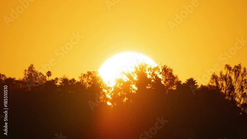 Sunrise sun rising behind silhouettes of trees. 4K UHD timelapse. photo