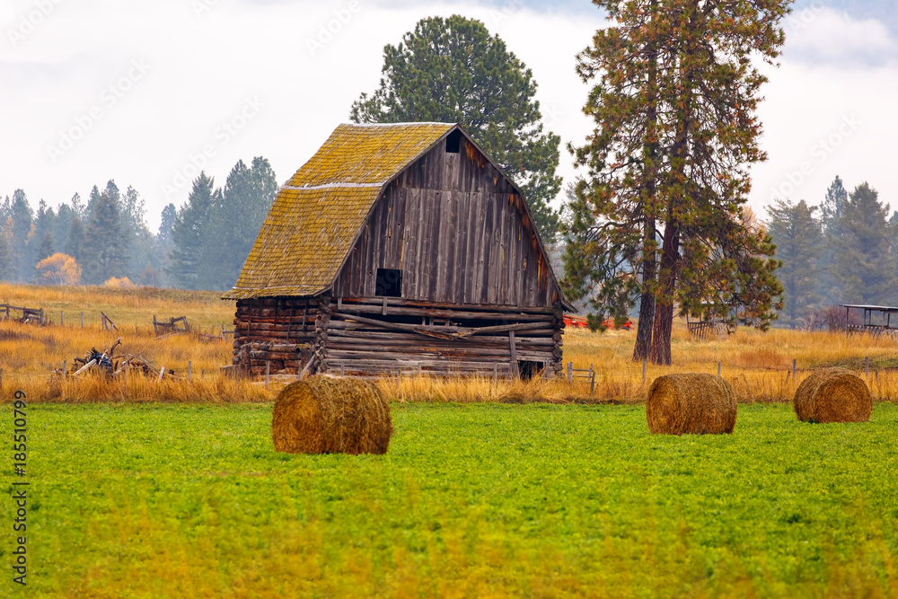 Old log barn in hay field and foggy background with gambrel roof in autumn  in Flathead Valley, Montana Photos