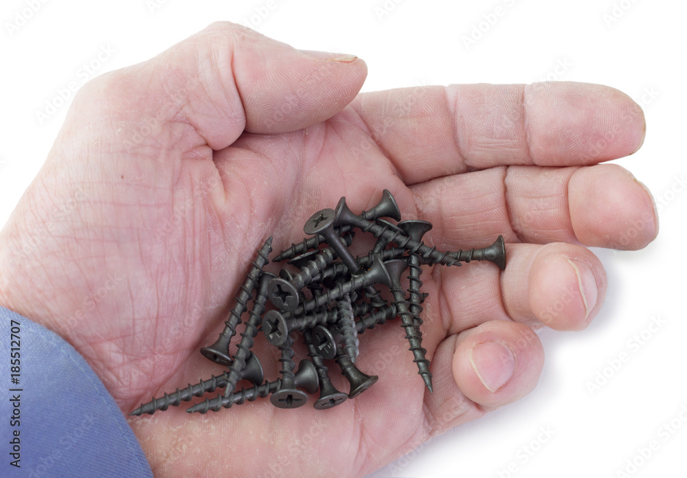 Fototapeta premium Screws on the palm a white background