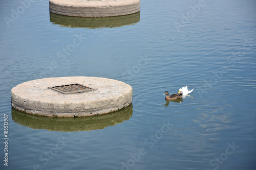 Italy, Puglia, Conversano, karst lake of Sassano, with wells reservoir of water reserve. Ducks and turtles. photo