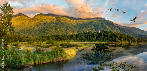 Cheam Lake Wetlands Regional Park, Rosedale, British Columbia, Canada photo