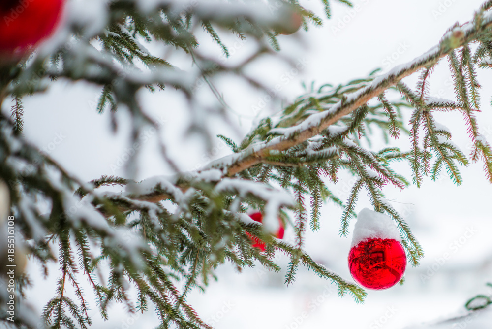 Glass baubles on a Christmas tree covered in snow - 3 Glass baubles on a Christmas tree covered in snow - 3