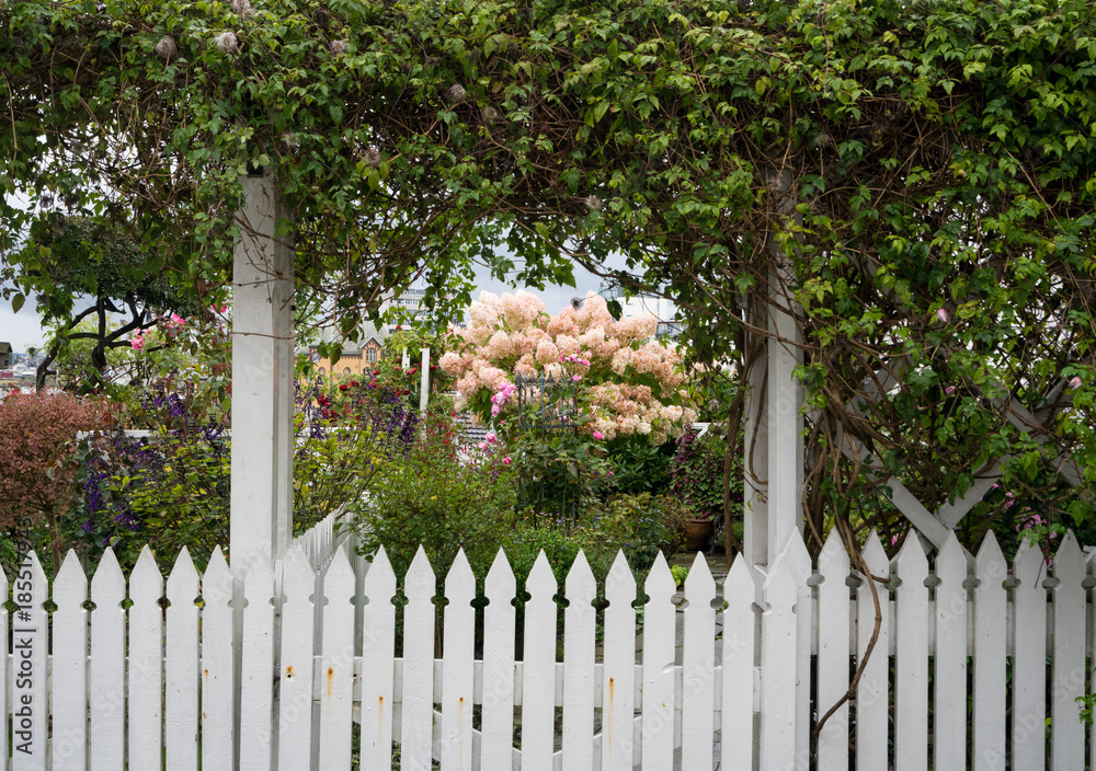 Naklejka premium Small colorful garden in old town of Stavanger