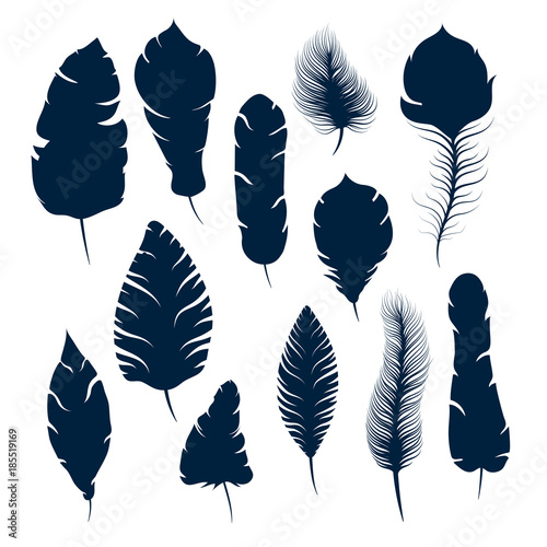 Different elegant feather silhouettes isolated on white