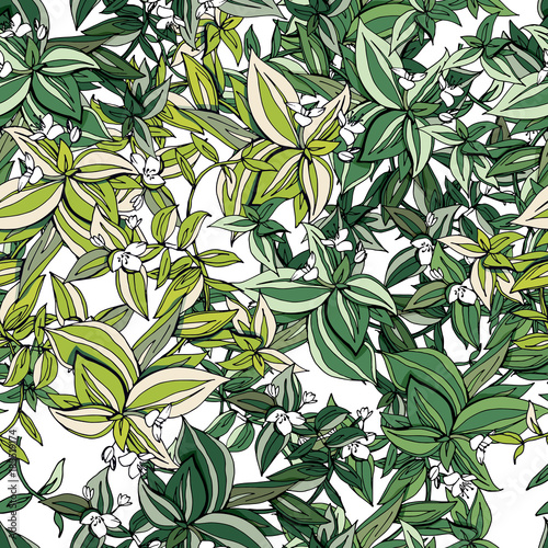 Seamless pattern with traditional homeplant Tradescantia. Endless texture with flower used indoor.