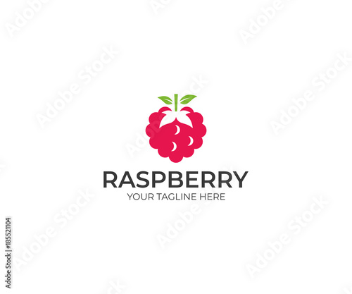 Raspberry Logo Template. Berry Vector Design. Fruit Illustration
