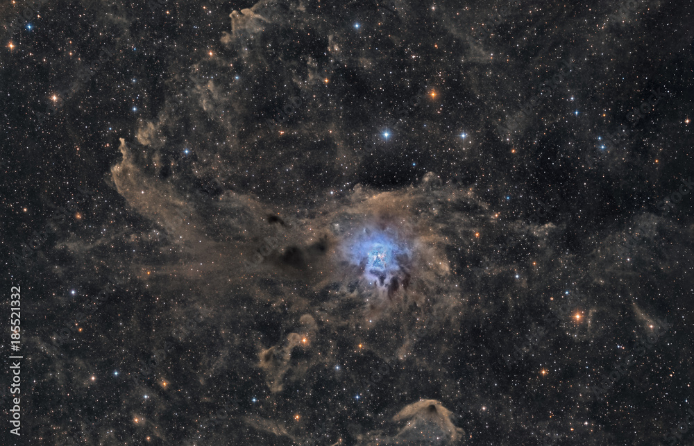 The Iris Nebula NGC 7023 in Cepheus