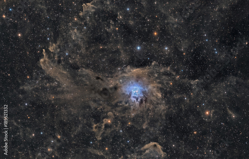 The Iris Nebula NGC 7023 in Cepheus © mdmediendesign