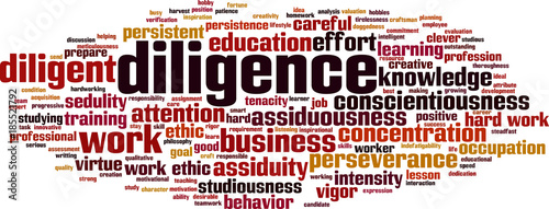 Diligence word cloud