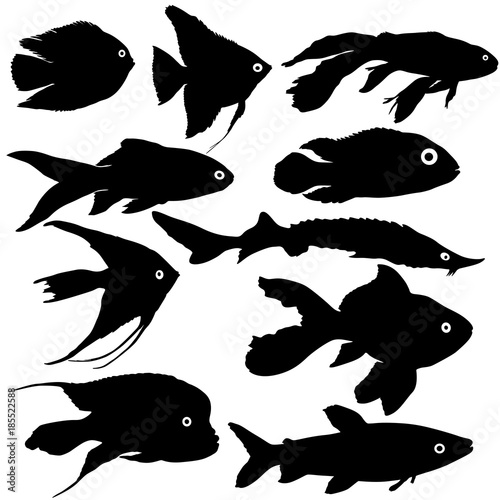 Black set silhouette of aquarium fish on white background
