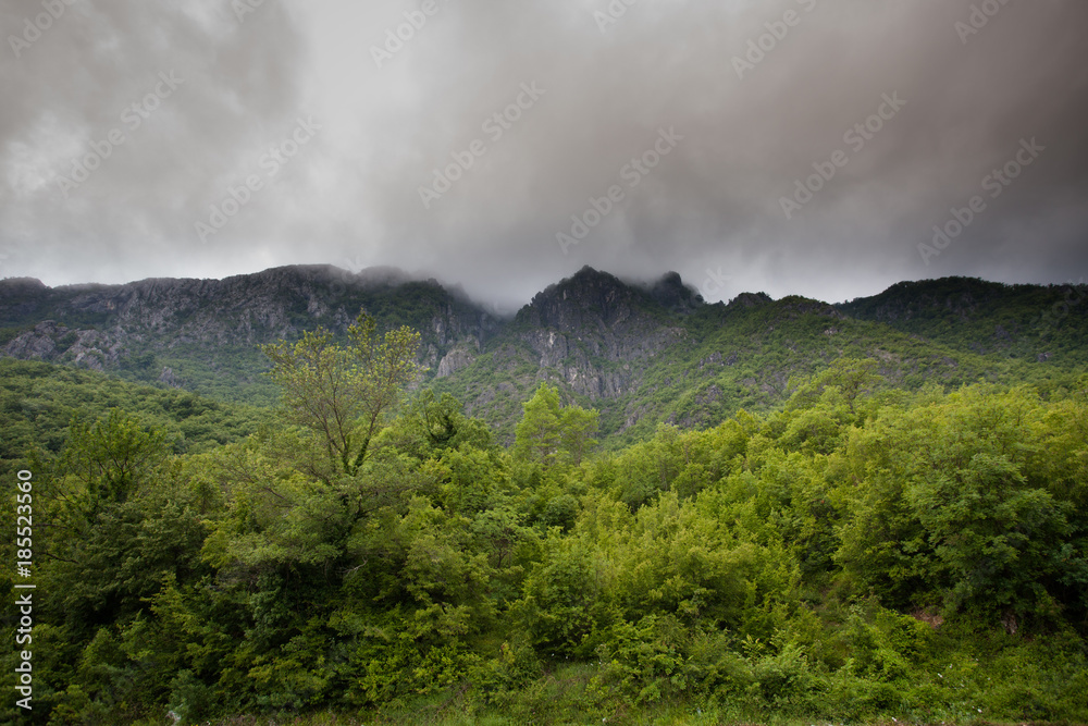 fog descent to  old mountains , covered trees  and to the forest. Montenegro.