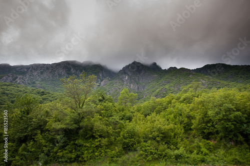 fog descent to old mountains , covered trees and to the forest. Montenegro.