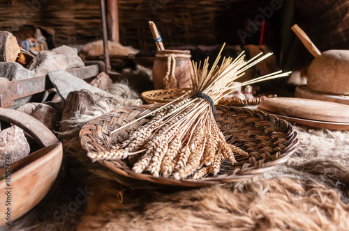 Bundle of wheat in a basket in a replica iron-age dwelling