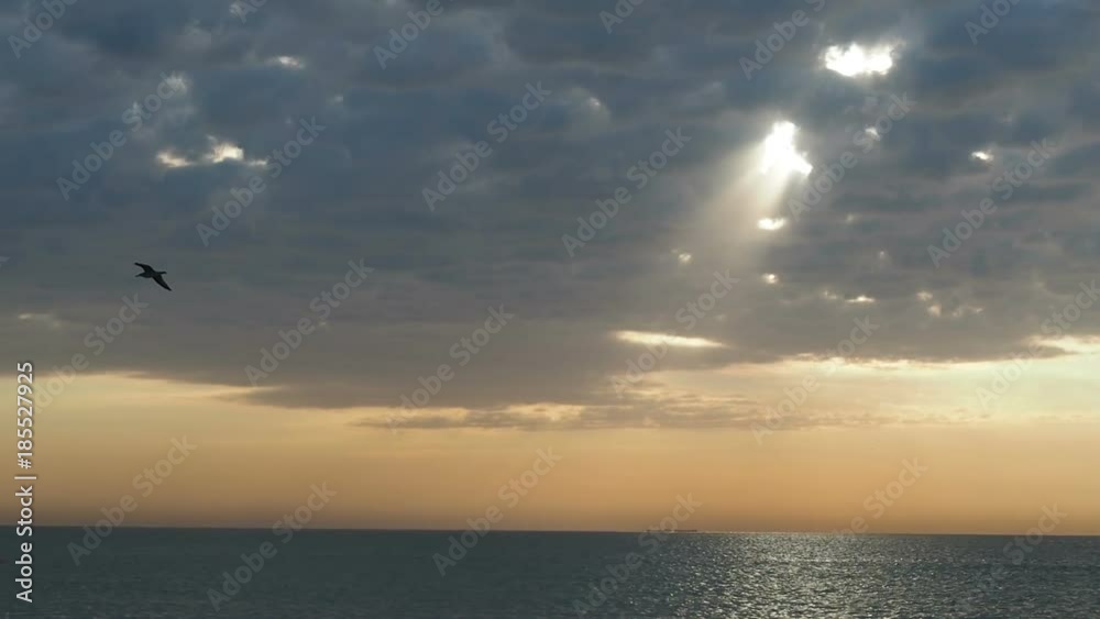 Sun rays through the clouds. A flying seagull over the sea. Sun rays through the clouds. A flying seagull over the sea.