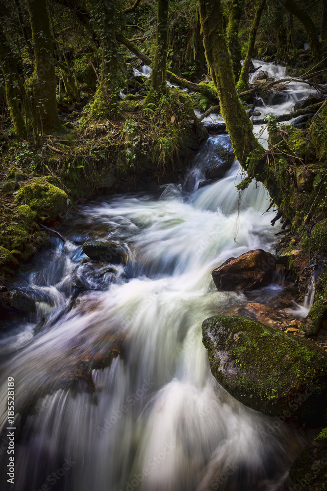 Sesin River Galicia Spain Sesin River Galicia Spain