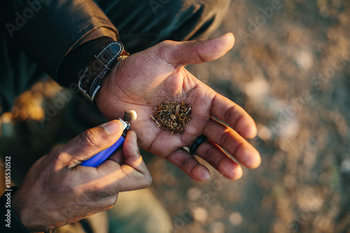 Fotografi Hands holding hashish and tobacco