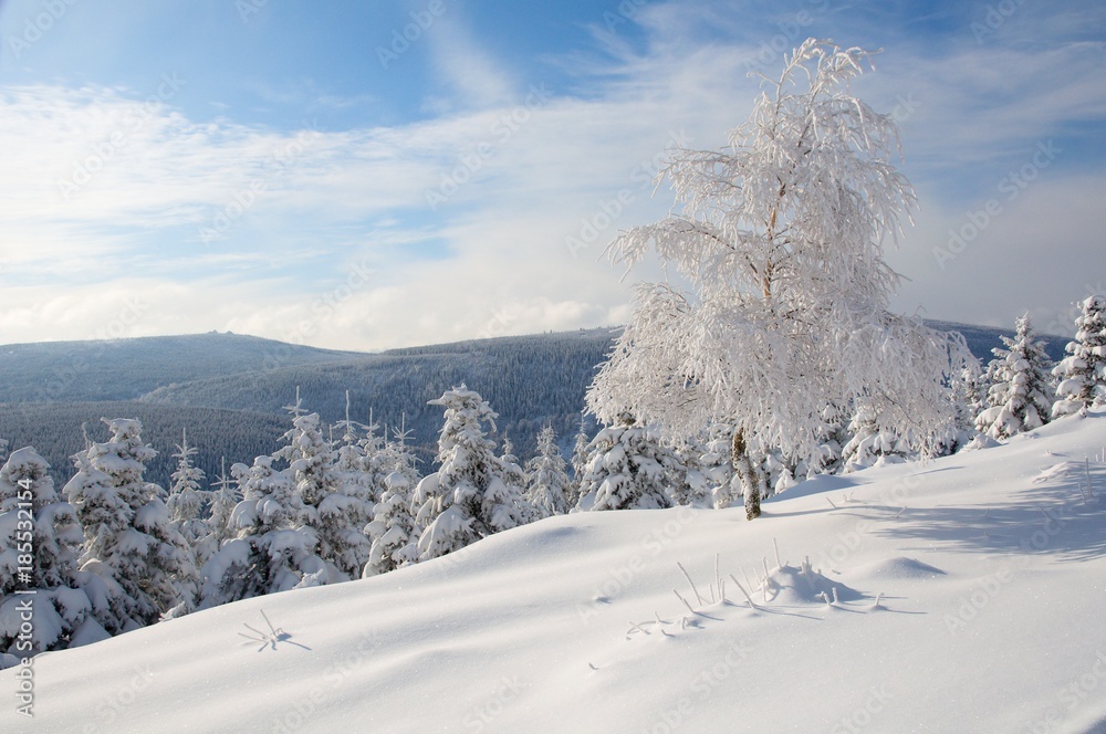 Winter in the Jizera mountains, Northern Bohemia Czech republic, Europe