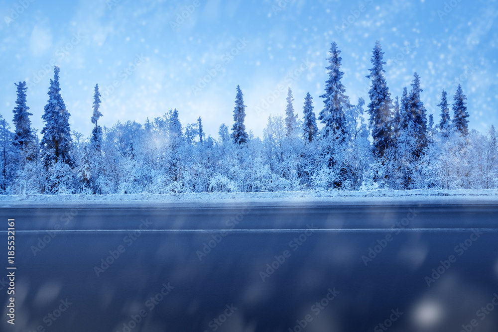 Fototapeta premium road in winter forest
