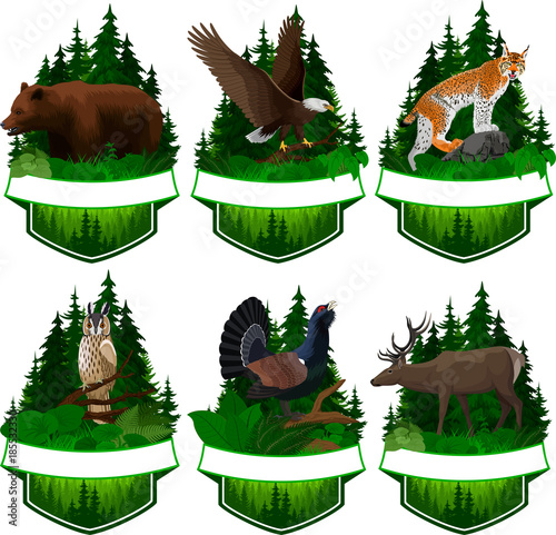 set of vector woodland emblems with lynx, bear, eagle, deer and capercaillie