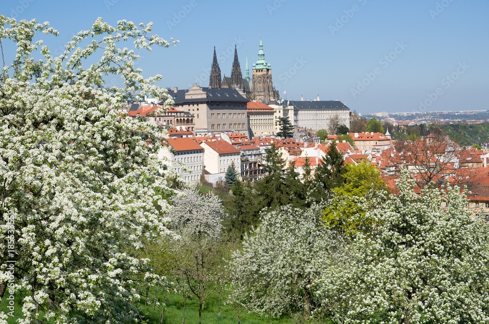 Prague castle and Mala Strana from Seminarska Garden in Prague, Czech republic