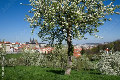 Prague castle and Mala Strana from Seminarska Garden in Prague, Czech republic photo