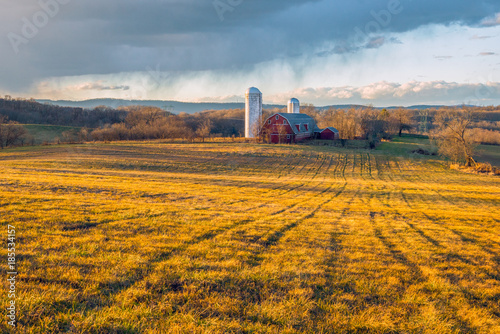 Winter Afternoon on the Farm
