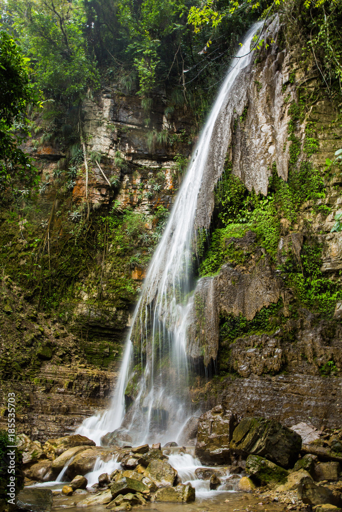Obraz premium Tropical waterfall at Xilitla ruins