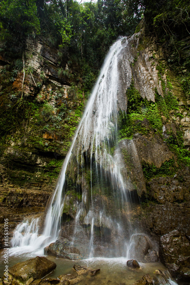 Obraz premium Tropical waterfall at Xilitla ruins
