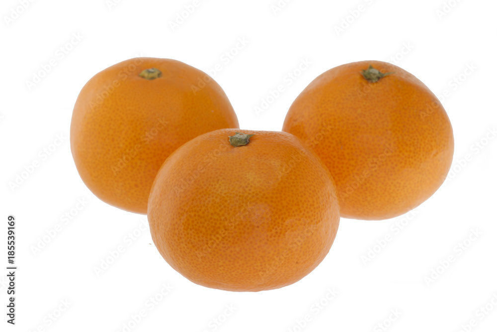 近大みかん　白抜き