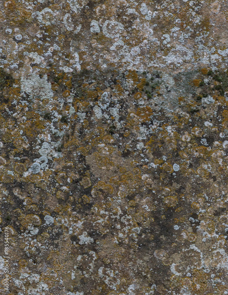 Moss Patterns on the Stones for the 3D Texture Moss Patterns on the Stones for the 3D Texture