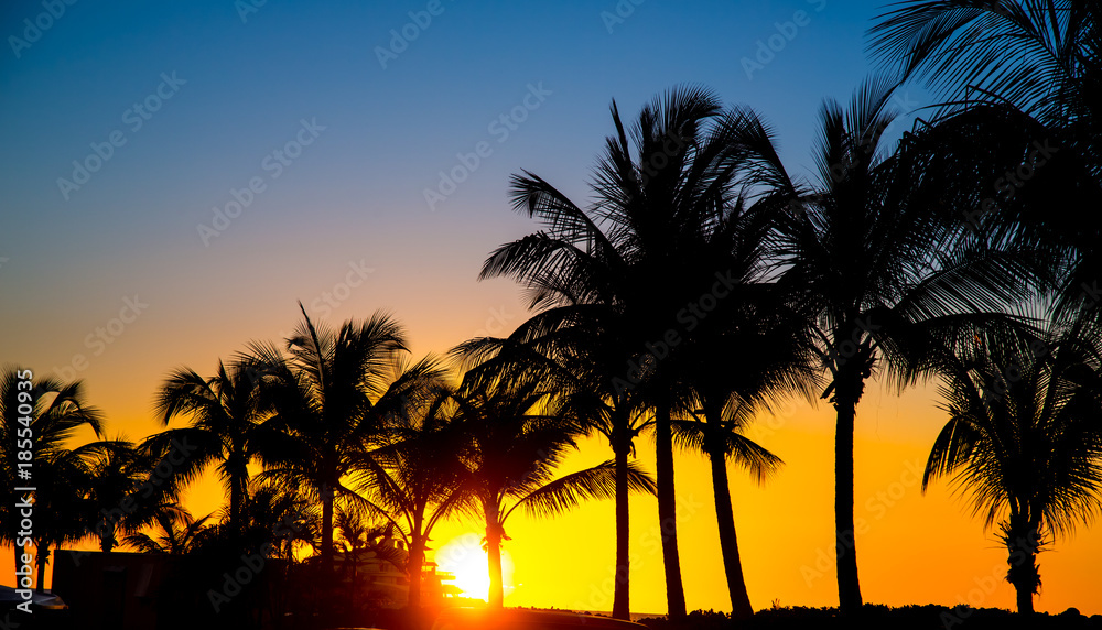 Obraz premium Silhouetted Palm Trees at Sunset on Tropical Island