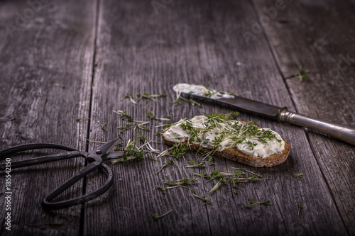 bread with curd cheese and herbs, wooden background horizontal