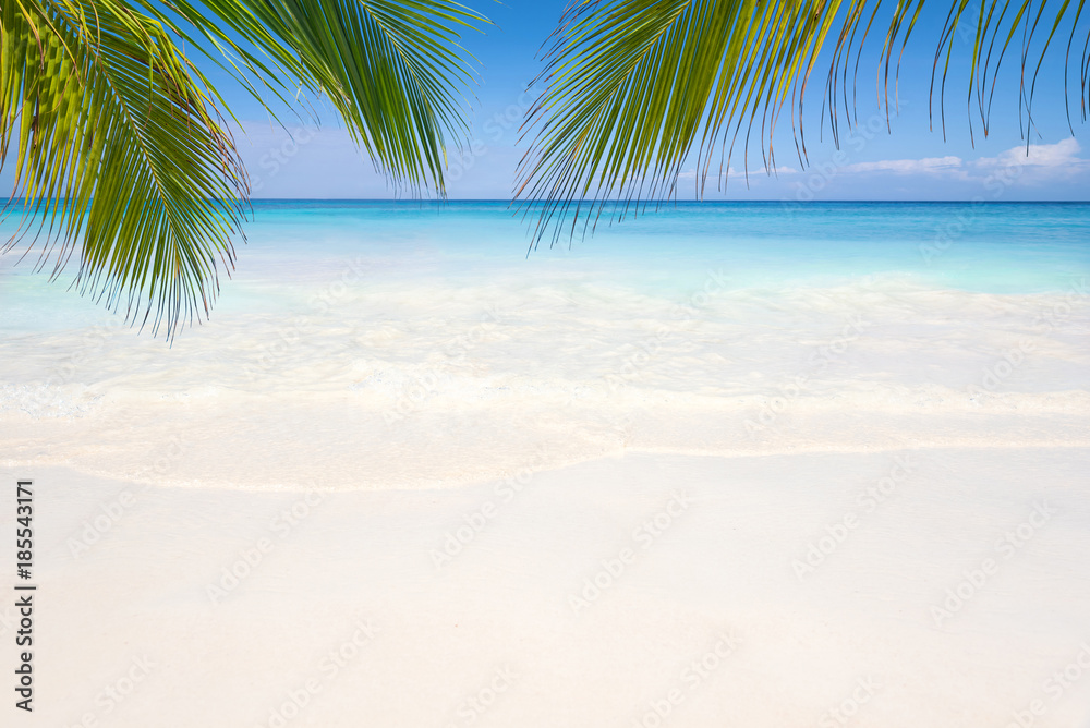 Obraz premium Beautiful beach and blue sky at Similan island,Thailand.