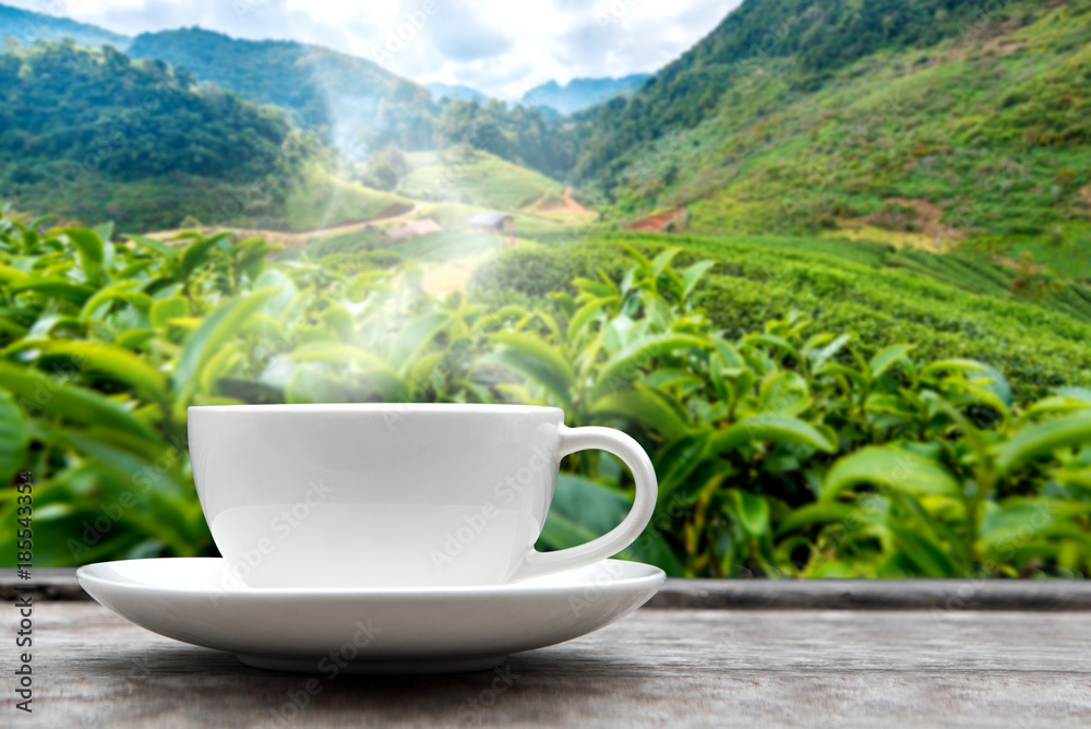 Hot Tea cup on the wooden table and the blurred landscape tea plantations background