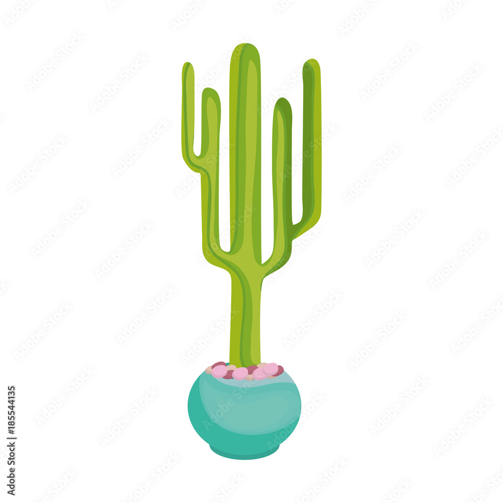 cactus in potted vector illustration cactus in potted vector illustration
