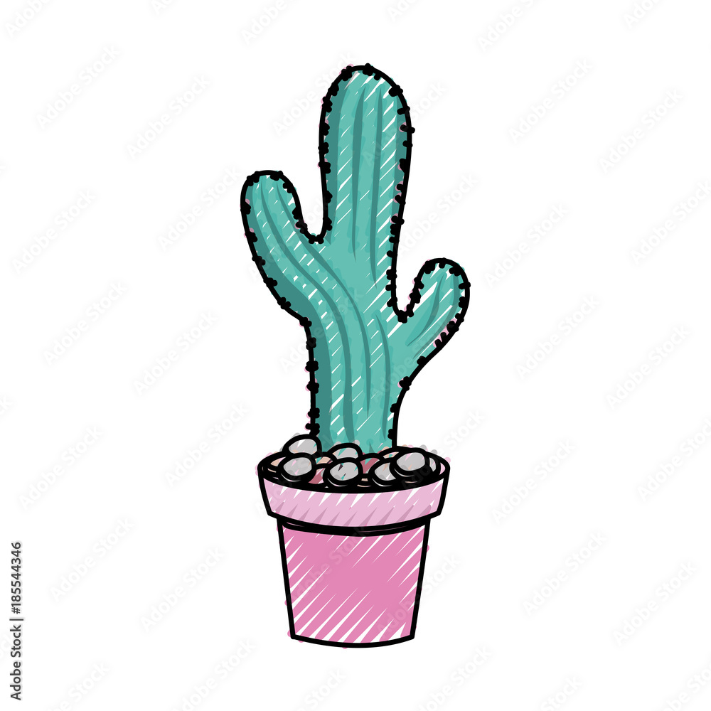 cactus in potted vector illustration