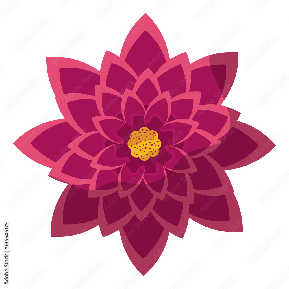 flower purple petals floral icon image vector illustration design 